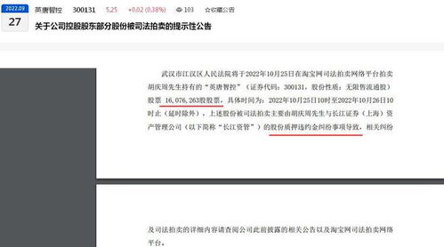 英唐智控困境 控股權(quán)質(zhì)押風(fēng)險(xiǎn)與業(yè)績(jī)雪崩的雙重打擊